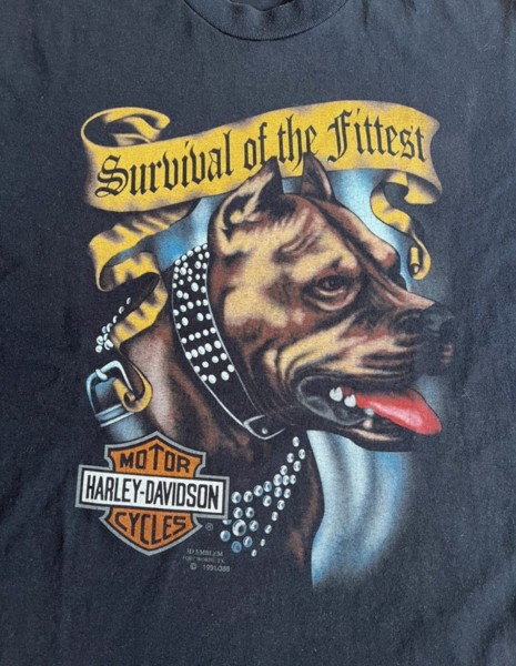 1991 3D Emblem HARLEY DAVIDSON SURVIVAL OF THE FITTEST T- SHIRT 90S