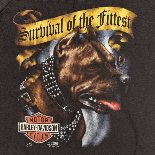 Authentic Survival Fittest 3D Emblem Print