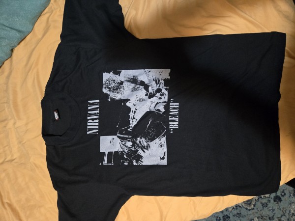 Nirvana bleach screen stars