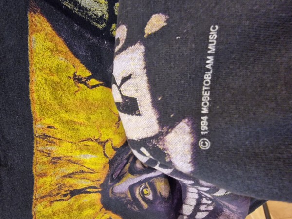 Can you guys check if this 1994 RHCP Tour Smile tee is legit please?