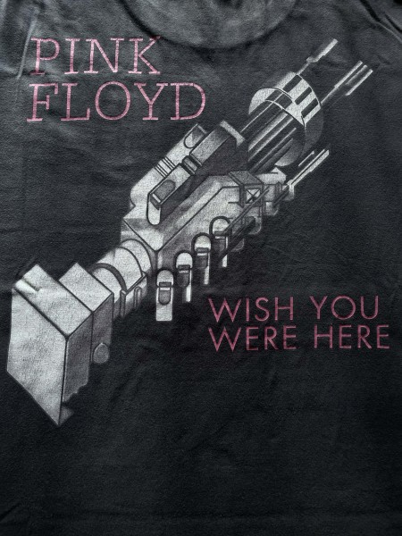 Pink Floyd 1994