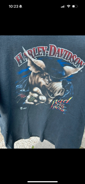 3D Emblem Harley Davidson  bad to the bone 1987 single stitch T-shirt