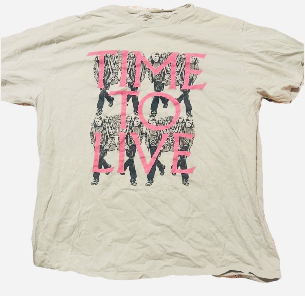 ARIEL PINK MEXICAN SUMMER MERCH