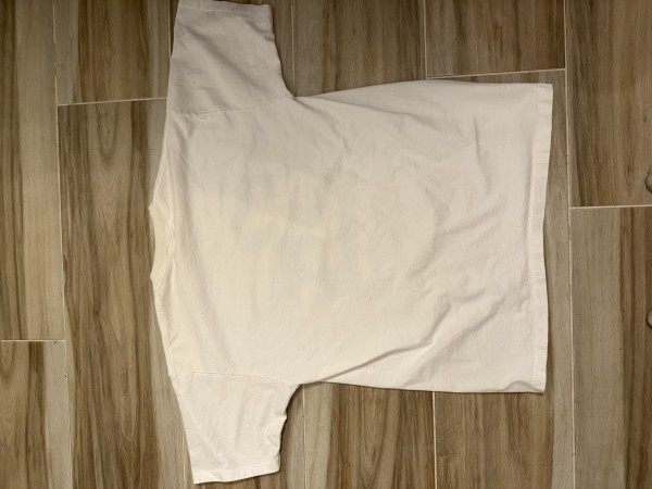 Price Check Dorothy and Toto shirt