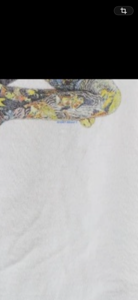 Silverchair tee