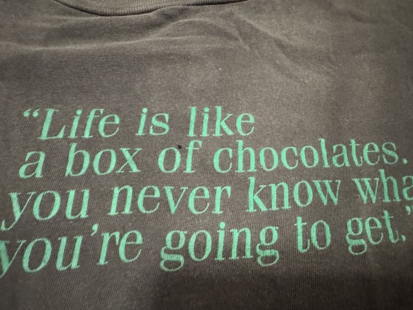 Forrest Gump “Life Is A Box…”
