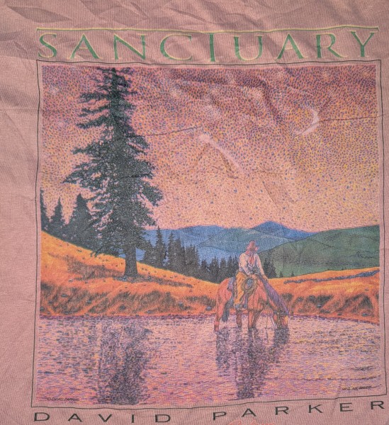 David Parker Sanctuary T-Shirt