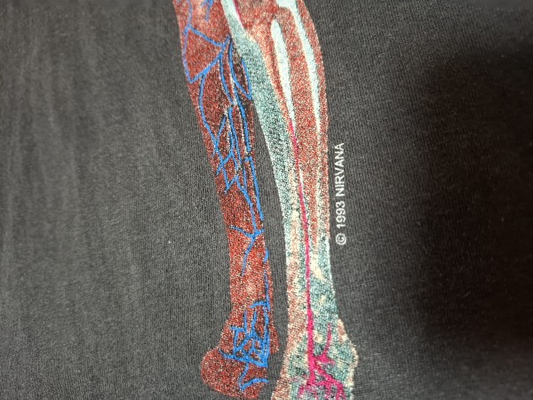 Nirvana In Utero 1993 Longsleeve tee, legit or not?