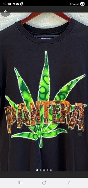 1994 pantera far beyond driven: Need help before I purchase