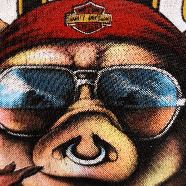 Hawg slice from 3D Emblem 1984