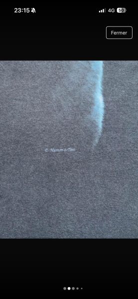 Legit or not anvil human i tee