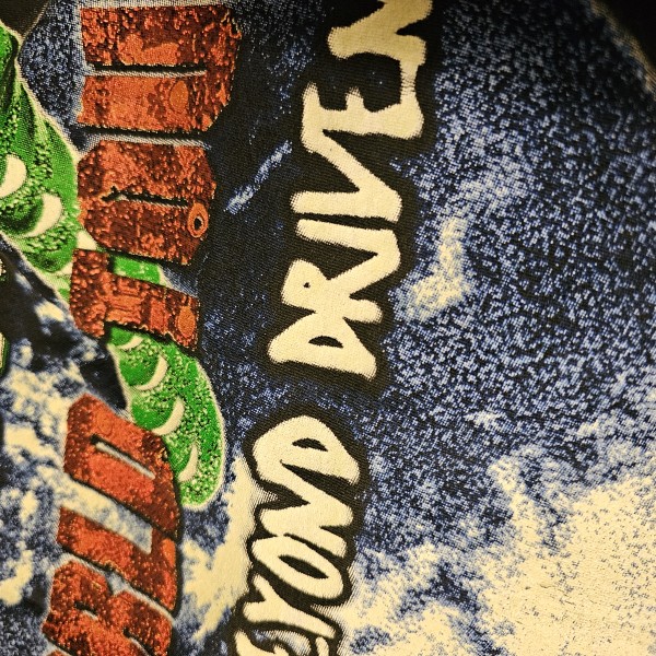 1994 pantera far beyond driven: Need help before I purchase