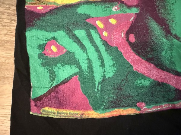 One more showing detail of front print.