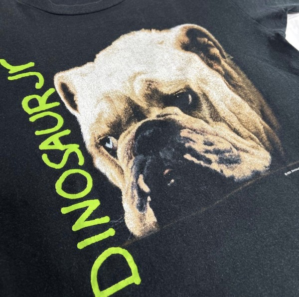 Legit?! Dinosaur Jr.  Bulldog  Whatever's Cool with Me FOTL tag