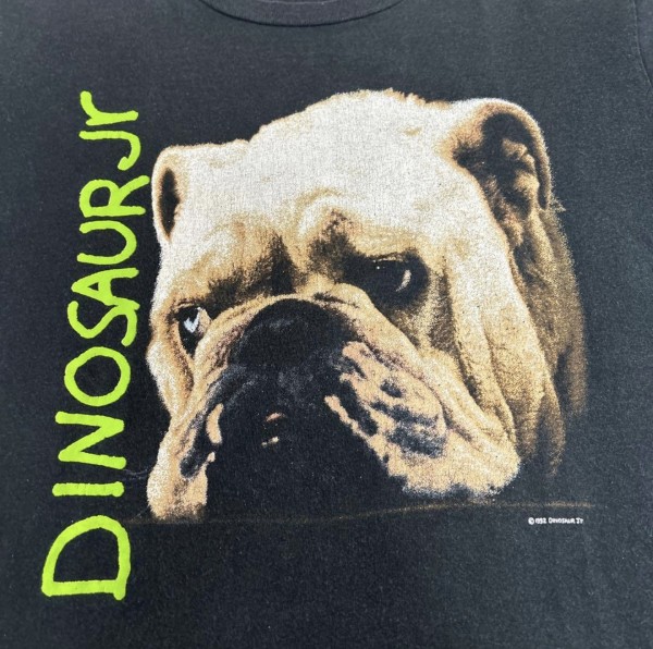 Legit?! Dinosaur Jr.  Bulldog  Whatever's Cool with Me FOTL tag