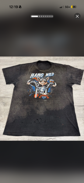 1986 Hawg Wild 3d American Biker