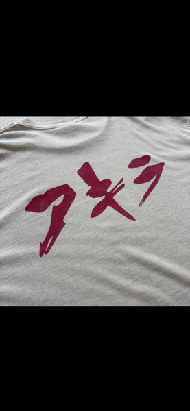 Akira Fashion Victim Legit check plz!!