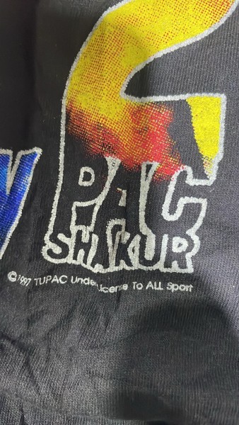 2pac raptee