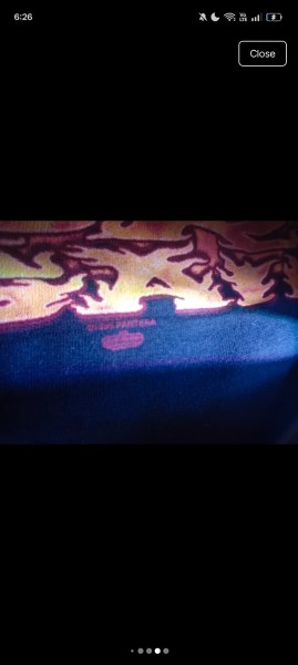 Pantera 1995 born again tshirt need a legit check fast before i buy