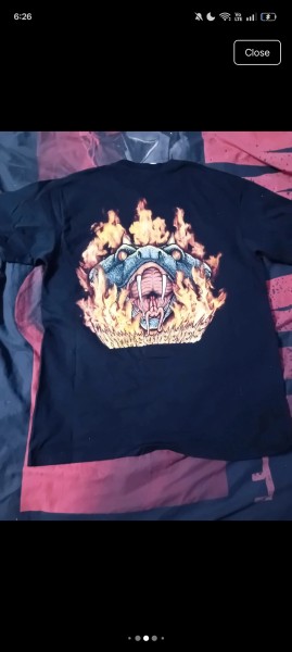 Pantera 1995 born again tshirt need a legit check fast before i buy