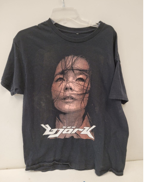 Bjork Bootleg from Shopgoodwill