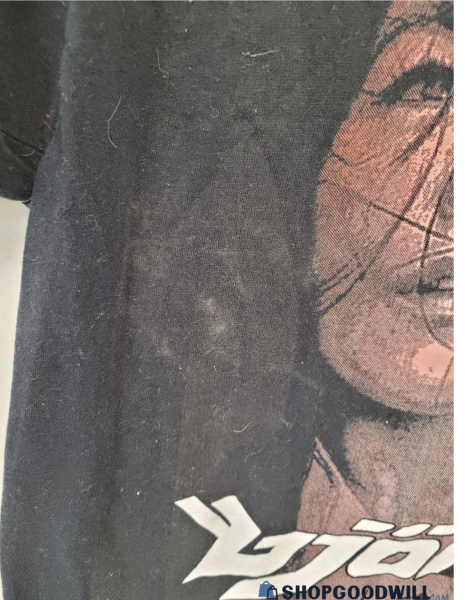Bjork Bootleg from Shopgoodwill
