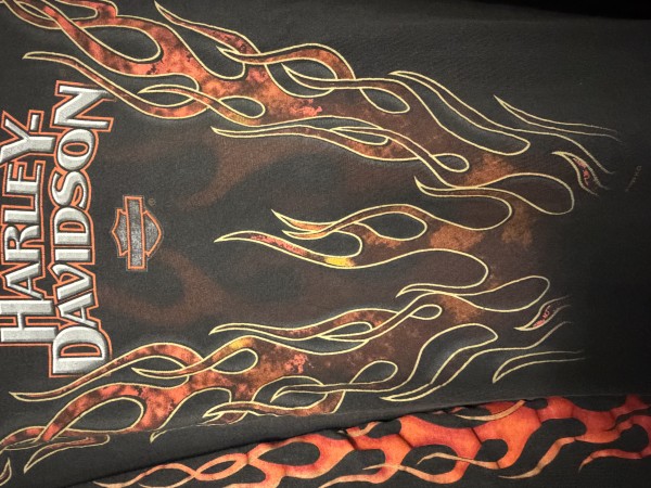 Authentication Request - 1999 Harley Davidson v Flame long sleeve