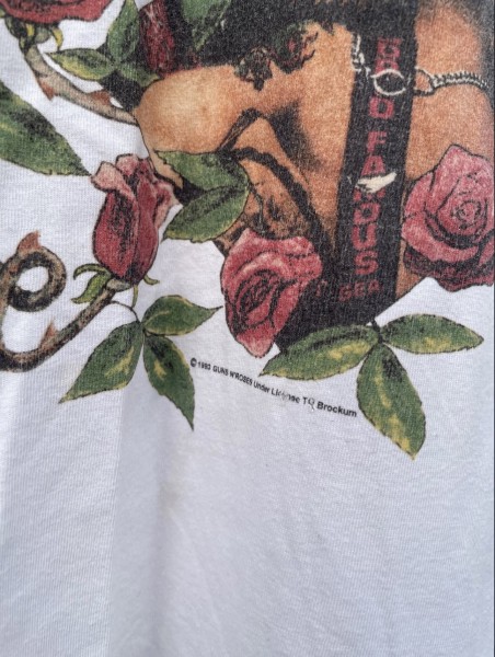Guns N Roses 1993 tour
