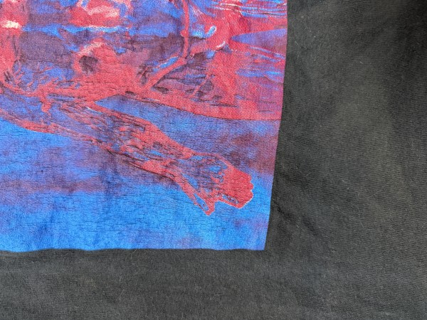Giant by Tee Jay Nirvana Sliver shirt.