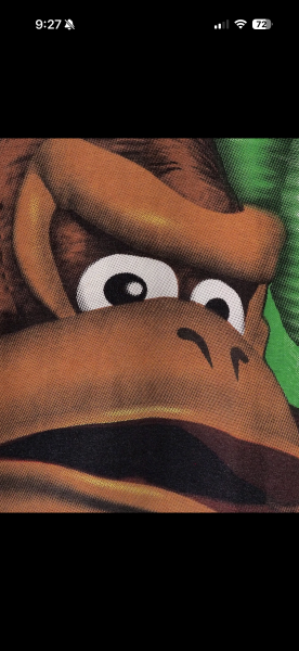 Vintage Donkey Kong Country AOP
