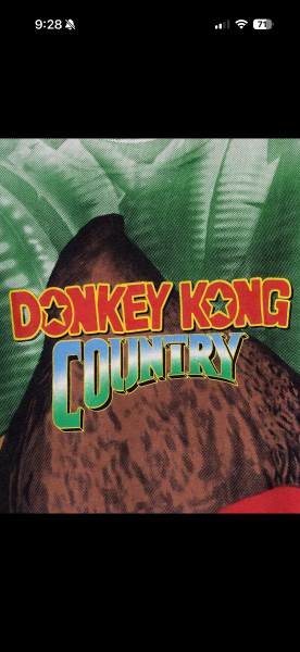 Vintage Donkey Kong Country AOP