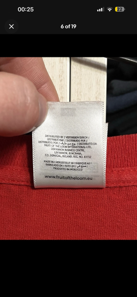 Deftones White Pony Tee on Fruit of the Loom Blank