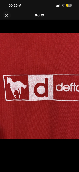 Deftones White Pony Tee on Fruit of the Loom Blank
