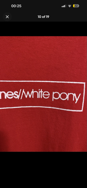 Deftones White Pony Tee on Fruit of the Loom Blank