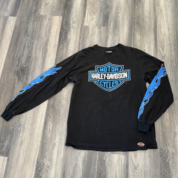 Stratman Harley with flames from Sturgis
