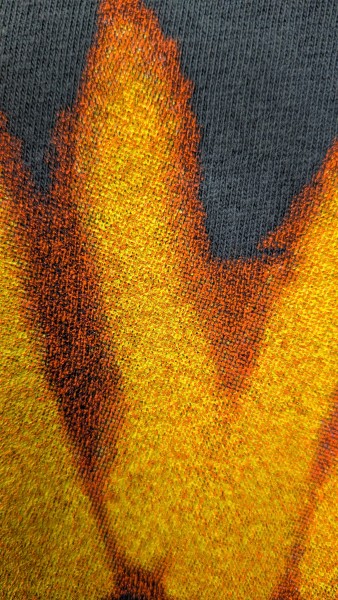 Graphic close up