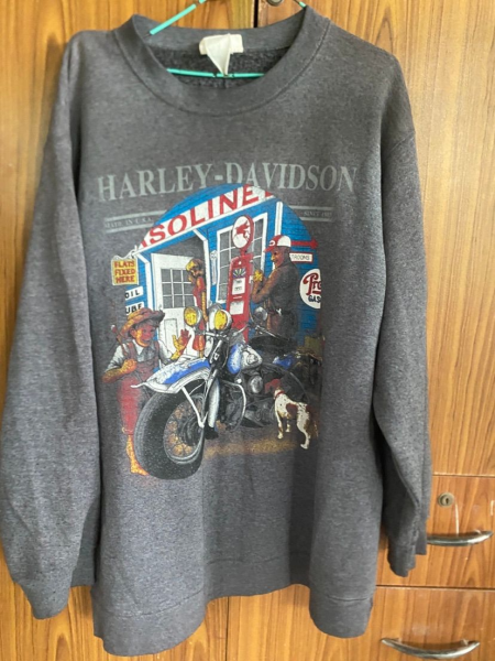 Harley Davidson Bootleg ?