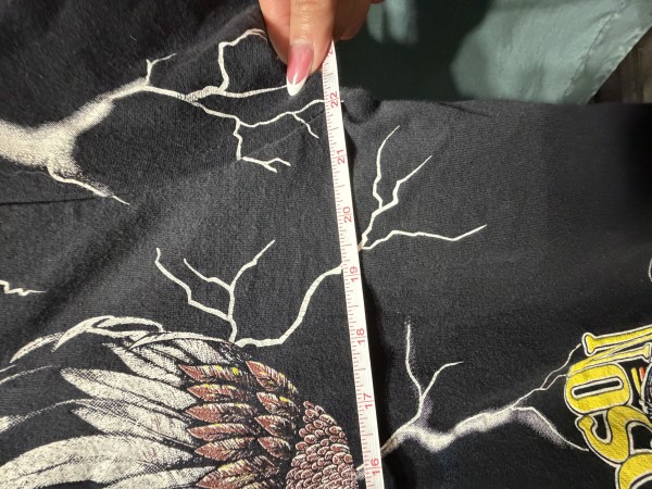 1995 Harley Davidson Wings of Thunder Authentication Help