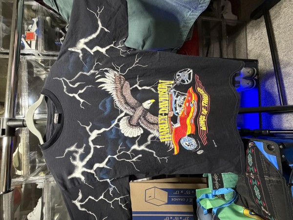 1995 Harley Davidson Wings of Thunder Authentication Help