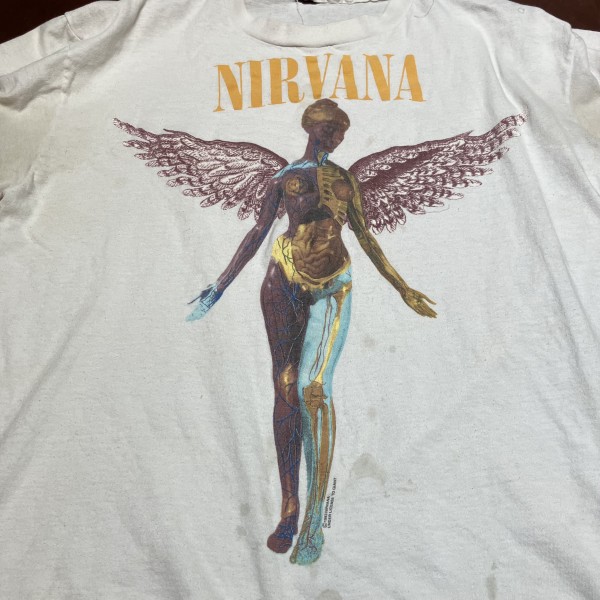 Nirvana in utero