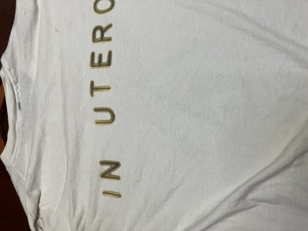 Nirvana in utero
