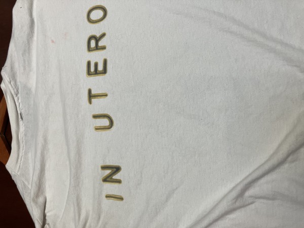 Nirvana in utero