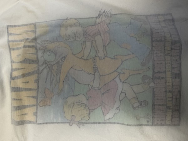 Kozik Nirvana / Shonen Knife Legit Check