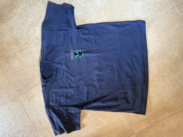 could you appraise this pink Floyd division bell tee?