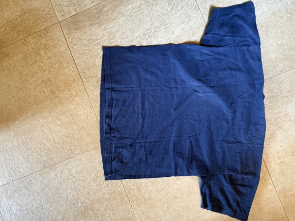 could you appraise this pink Floyd division bell tee?