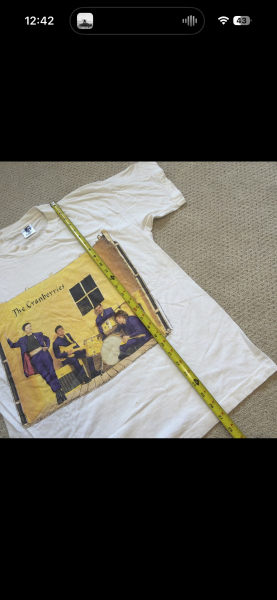 Vintage the cranberries shirt