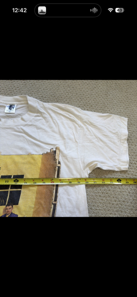Vintage the cranberries shirt