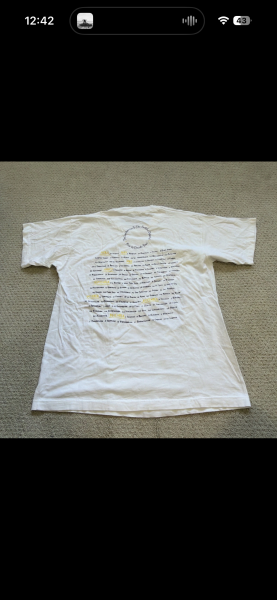 Vintage the cranberries shirt