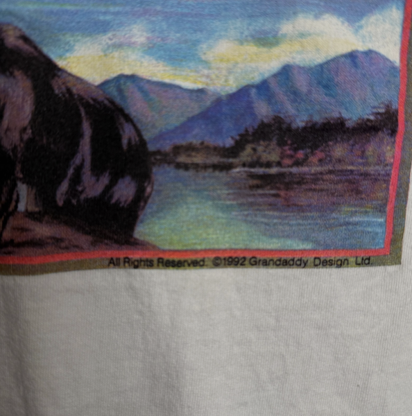 is this a GRANDADDY Indie Rock band shirt?