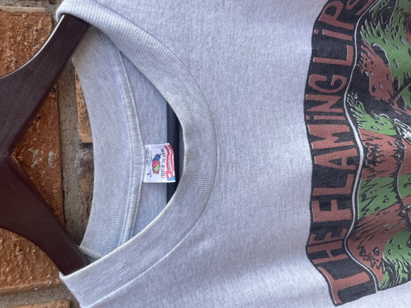 The Flaming Lips legit check